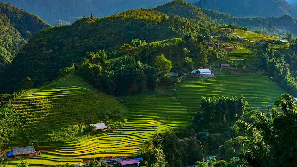 Immerse yourself in nature, and enjoy the peaceful ambiance of Cat Cat Village, where time seems to stand still 